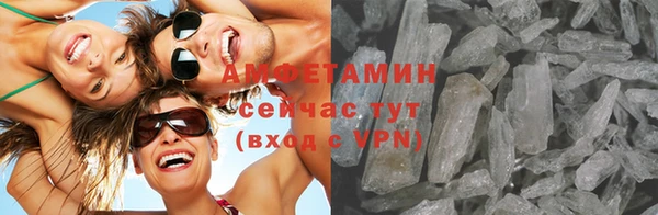 шишки Бронницы