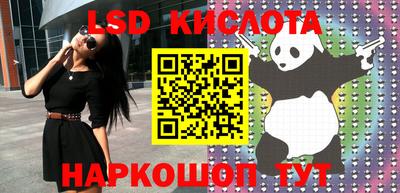 прущие крисы Абакан