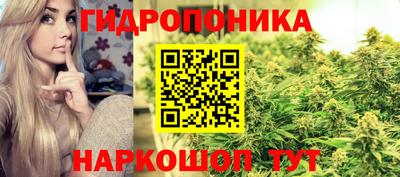 ПСИЛОЦИБИНОВЫЕ ГРИБЫ Аргун