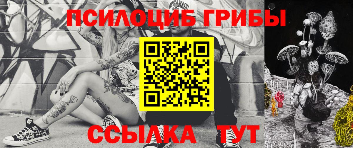 Галлюциногенные грибы прущие грибы  Аша  Галлюциногенные грибы мицелий 