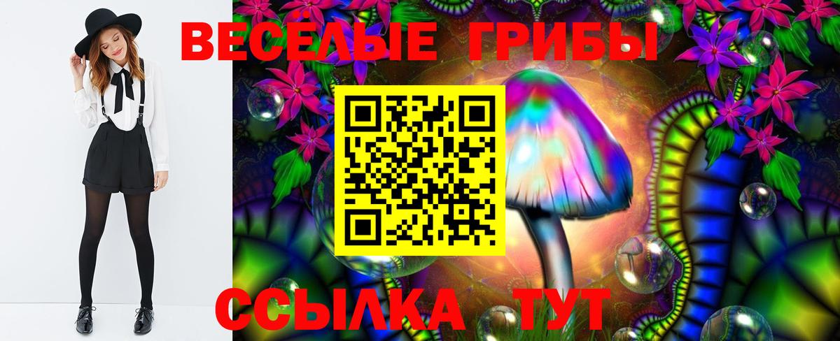 Галлюциногенные грибы мицелий Аша